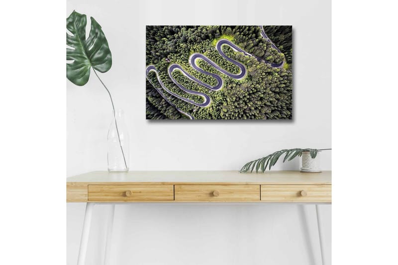 Canvas-taulu LED-valaistuksella - Kaunis näkymä mutkittelevalle tielle tiheän rehevän metsän läpi - Vihreä / Harmaa / Musta - Sisustustuotteet - Taulu & taide - Canvas-taulu