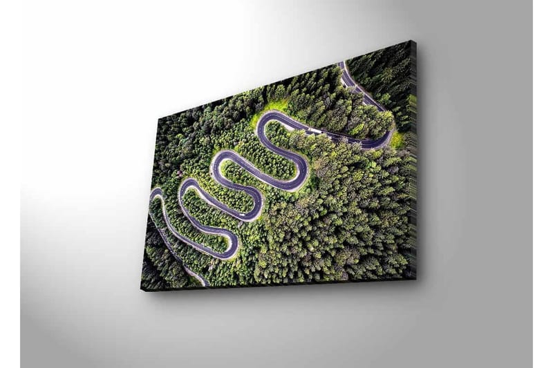 Canvas-taulu LED-valaistuksella - Kaunis näkymä mutkittelevalle tielle tiheän rehevän metsän läpi - Vihreä / Harmaa / Musta - Sisustustuotteet - Taulu & taide - Canvas-taulu