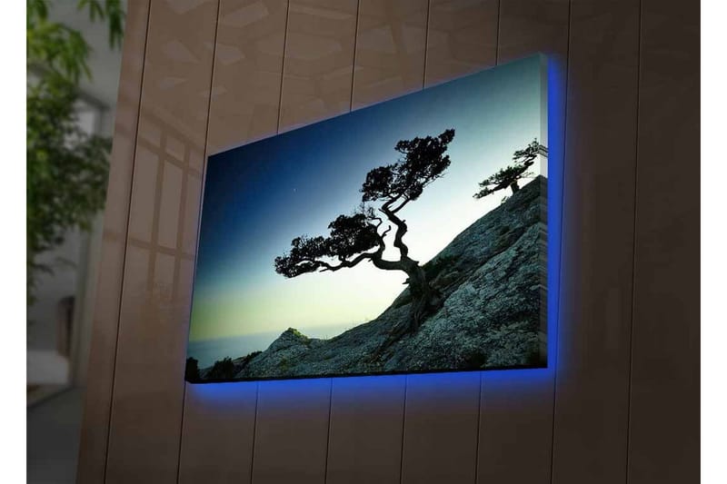Canvas-taulu LED-valaistuksella - Kaunis siluetti tuulenpieksemästä puusta kalliolla hämärässä - Tummanvihreä / Sininen / Vaaleanvihreä - Sisustustuotteet - Taulu & taide - Canvas-taulu