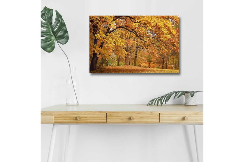 Canvas-taulu LED-valaistuksella - Kaunis syysmaisema kultaisten ja oranssien lehtipuiden kera, Kulta / Oranssi / Ruskea