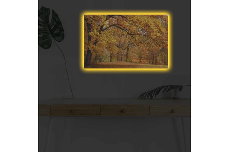 Canvas-taulu LED-valaistuksella - Kaunis syysmaisema kultaisten ja oranssien lehtipuiden kera - Kulta / Oranssi / Ruskea - Sisustustuotteet - Taulu & taide - Canvas-taulu