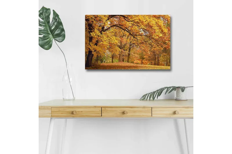 Canvas-taulu LED-valaistuksella - Kaunis syysmaisema kultaisten ja oranssien lehtipuiden kera, Kulta / Oranssi / Ruskea