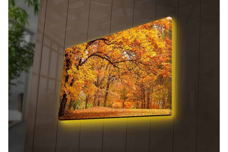 Canvas-taulu LED-valaistuksella - Kaunis syysmaisema kultaisten ja oranssien lehtipuiden kera - Kulta / Oranssi / Ruskea - Sisustustuotteet - Taulu & taide - Canvas-taulu
