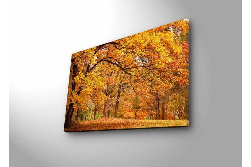 Canvas-taulu LED-valaistuksella - Kaunis syysmaisema kultaisten ja oranssien lehtipuiden kera - Kulta / Oranssi / Ruskea - Sisustustuotteet - Taulu & taide - Canvas-taulu