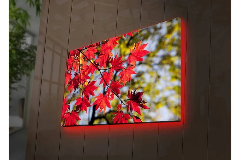 Canvas-taulu LED-valaistuksella - Kirkkaanpunaiset vaahteranlehdet roikkuvat oksalla - Punainen / Vihreä - Sisustustuotteet - Taulu & taide - Canvas-taulu