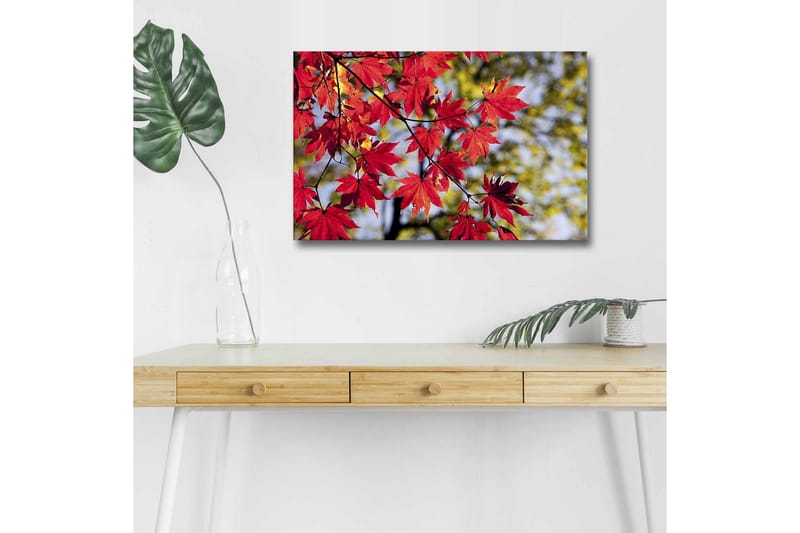 Canvas-taulu LED-valaistuksella - Kirkkaanpunaiset vaahteranlehdet roikkuvat oksalla, Punainen / Vihreä