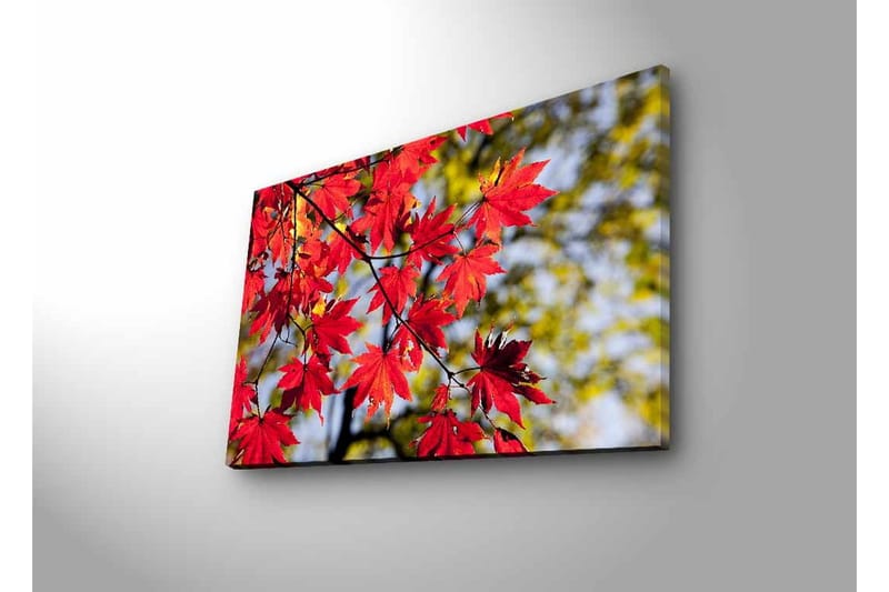 Canvas-taulu LED-valaistuksella - Kirkkaanpunaiset vaahteranlehdet roikkuvat oksalla - Punainen / Vihreä - Sisustustuotteet - Taulu & taide - Canvas-taulu