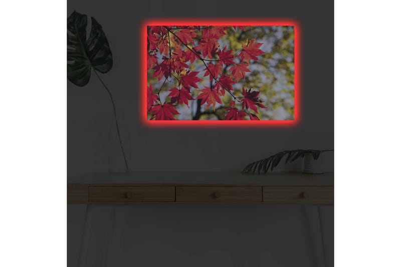Canvas-taulu LED-valaistuksella - Kirkkaanpunaiset vaahteranlehdet roikkuvat oksalla - Punainen / Vihreä - Sisustustuotteet - Taulu & taide - Canvas-taulu