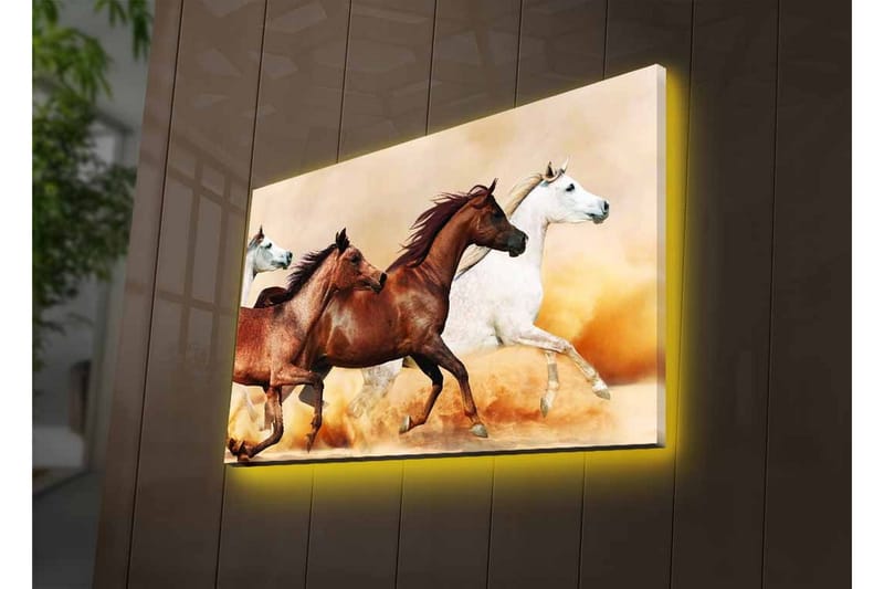 Canvas-taulu LED-valaistuksella - Kolme hevosta liikkeessä hiekkaisella pinnalla - Ruskea / Valkoinen / Beige - Sisustustuotteet - Taulu & taide - Canvas-taulu
