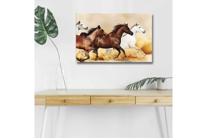 Canvas-taulu LED-valaistuksella - Kolme hevosta liikkeessä hiekkaisella pinnalla, Ruskea / Valkoinen / Beige