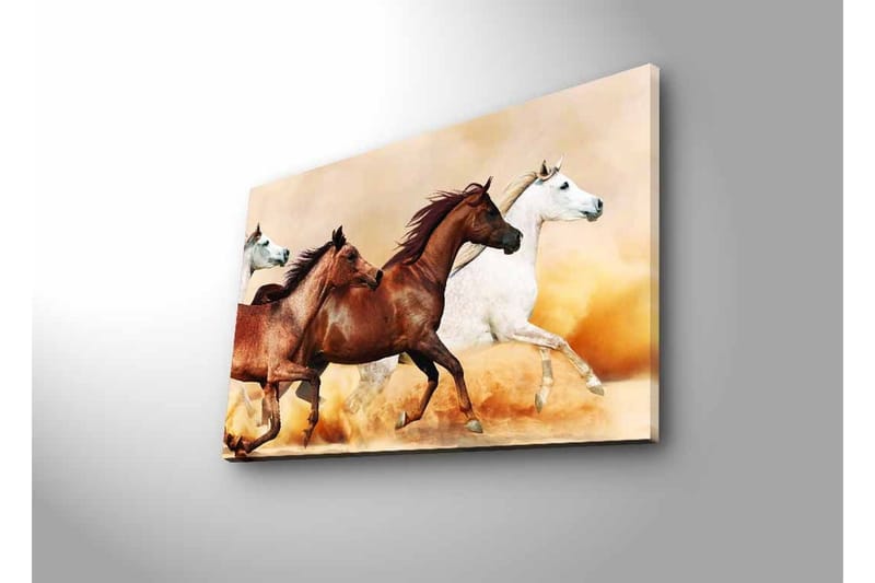 Canvas-taulu LED-valaistuksella - Kolme hevosta liikkeessä hiekkaisella pinnalla - Ruskea / Valkoinen / Beige - Sisustustuotteet - Taulu & taide - Canvas-taulu
