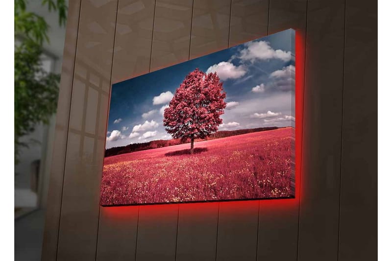 Canvas-taulu LED-valaistuksella - Komea vaaleanpunainen puu värikkäällä niityllä - Vaaleanpunainen / Vihreä / Sininen - Sisustustuotteet - Taulu & taide - Canvas-taulu