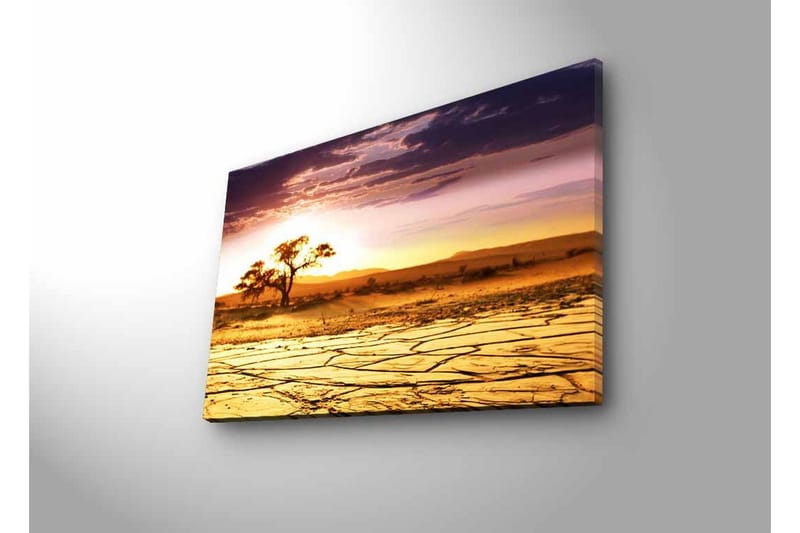 Canvas-taulu LED-valaistuksella - Kuivattu maisema yksinäisellä akaasiapuulla auringonlaskun aikaan - Kulta / Violetti / Oranssi - Sisustustuotteet - Taulu & taide - Canvas-taulu