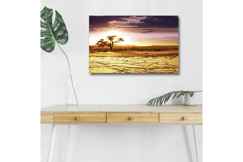 Canvas-taulu LED-valaistuksella - Kuivattu maisema yksinäisellä akaasiapuulla auringonlaskun aikaan, Kulta / Violetti / Oranssi