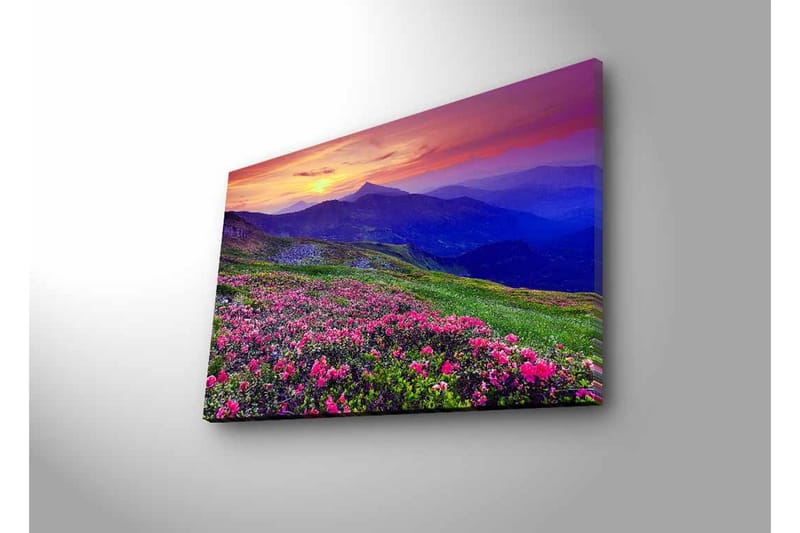 Canvas-taulu LED-valaistuksella - Kukkiva niitty värikkäillä kukilla ja vuorilla taustalla - Violetti / Vaaleanpunainen / Vihreä - Sisustustuotteet - Taulu & taide - Canvas-taulu