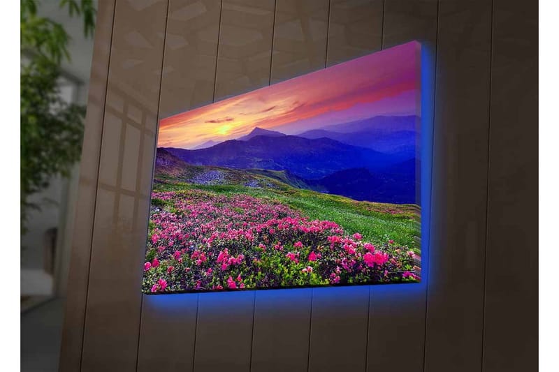 Canvas-taulu LED-valaistuksella - Kukkiva niitty värikkäillä kukilla ja vuorilla taustalla - Violetti / Vaaleanpunainen / Vihreä - Sisustustuotteet - Taulu & taide - Canvas-taulu