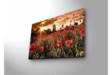 Canvas-taulu LED-valaistuksella - Kukkiva unikkopelto auringonlaskun valossa - Punainen / Vihreä / Keltainen - Sisustustuotteet - Taulu & taide - Canvas-taulu