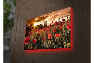 Canvas-taulu LED-valaistuksella - Kukkiva unikkopelto auringonlaskun valossa - Punainen / Vihreä / Keltainen - Sisustustuotteet - Taulu & taide - Canvas-taulu