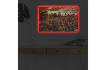Canvas-taulu LED-valaistuksella - Kukkiva unikkopelto auringonlaskun valossa - Punainen / Vihreä / Keltainen - Sisustustuotteet - Taulu & taide - Canvas-taulu