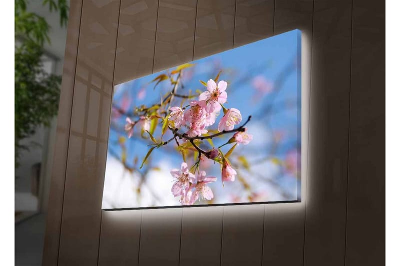 Canvas-taulu LED-valaistuksella - Kukkivia kirsikkapuita kevään valossa - Vaaleanpunainen / Vihreä / Sininen - Sisustustuotteet - Taulu & taide - Canvas-taulu