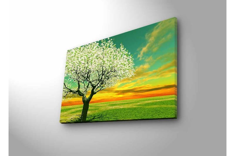 Canvas-taulu LED-valaistuksella - Kukkivia puita auringonlaskun aikaan - Vihreä / Valkoinen / Oranssi - Sisustustuotteet - Taulu & taide - Canvas-taulu