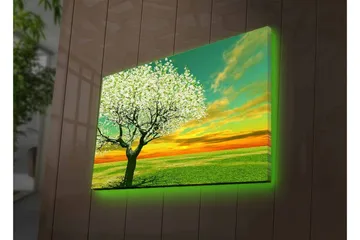 Canvas-taulu LED-valaistuksella - Kukkivia puita auringonlaskun aikaan - Vihreä / Valkoinen / Oranssi - Sisustustuotteet - Taulu & taide - Canvas-taulu
