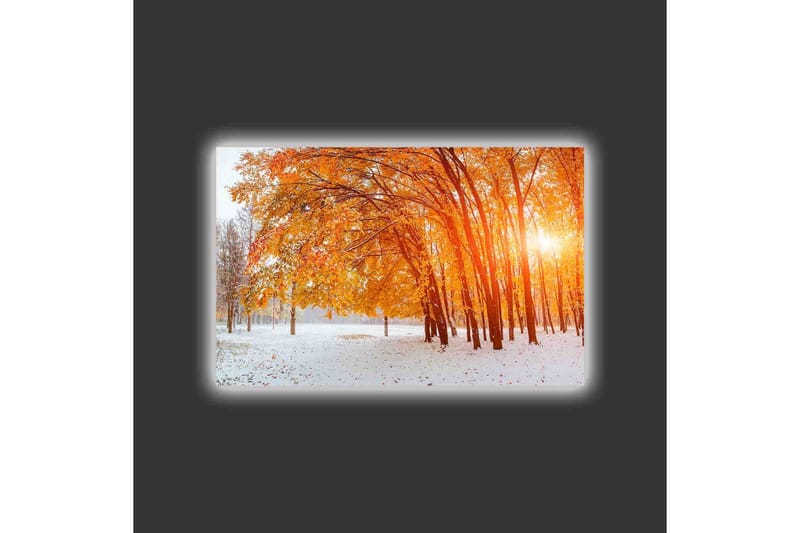 Canvas-taulu LED-valaistuksella - Kultainen syksyinen metsä auringonsäteiden paistaessa puiden välistä - Oranssi / Kulta / Valkoinen - Sisustustuotteet - Taulu & taide - Canvas-taulu