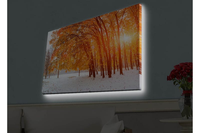 Canvas-taulu LED-valaistuksella - Kultainen syksyinen metsä auringonsäteiden paistaessa puiden välistä - Oranssi / Kulta / Valkoinen - Sisustustuotteet - Taulu & taide - Canvas-taulu