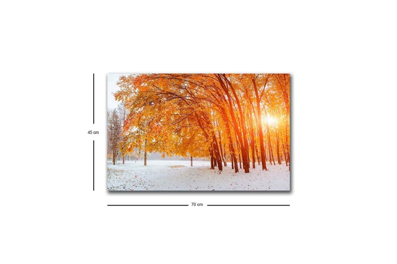 Canvas-taulu LED-valaistuksella - Kultainen syksyinen metsä auringonsäteiden paistaessa puiden välistä - Oranssi / Kulta / Valkoinen - Sisustustuotteet - Taulu & taide - Canvas-taulu