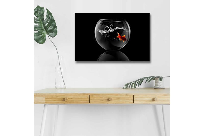 Canvas-taulu LED-valaistuksella - Kultakala ui lasiastiassa vesiroiskeiden kanssa, Musta / Punainen / Läpinäkyvä