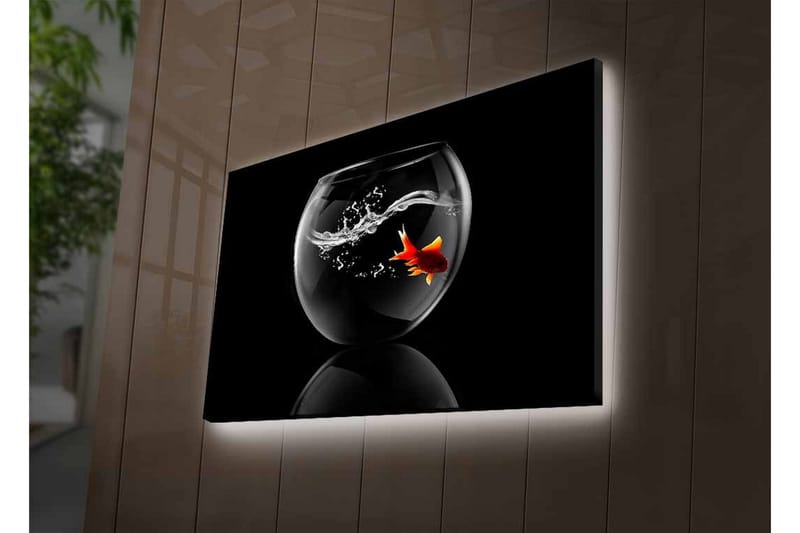 Canvas-taulu LED-valaistuksella - Kultakala ui lasiastiassa vesiroiskeiden kanssa - Musta / Punainen / Läpinäkyvä - Sisustustuotteet - Taulu & taide - Canvas-taulu