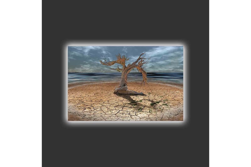 Canvas-taulu LED-valaistuksella - Kuollut puu halkeilevalla maanpinnalla meren rannalla - Ruskea / Harmaa / Sininen - Sisustustuotteet - Taulu & taide - Canvas-taulu