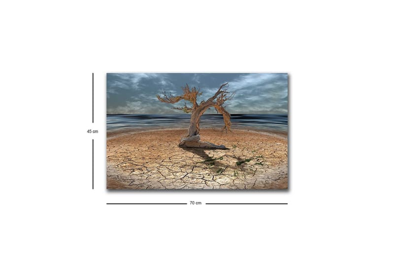 Canvas-taulu LED-valaistuksella - Kuollut puu halkeilevalla maanpinnalla meren rannalla - Ruskea / Harmaa / Sininen - Sisustustuotteet - Taulu & taide - Canvas-taulu