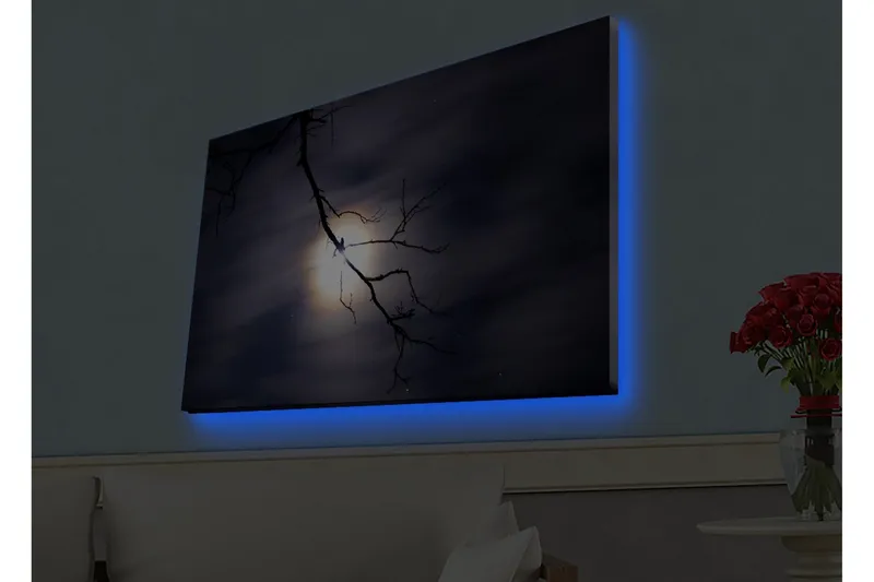 Canvas-taulu LED-valaistuksella - Kuu paistaa tummien pilvien läpi, etualalla oksa - Tummansininen / Musta / Valkoinen - Sisustustuotteet - Taulu & taide - Canvas-taulu