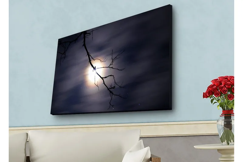 Canvas-taulu LED-valaistuksella - Kuu paistaa tummien pilvien läpi, etualalla oksa, Tummansininen / Musta / Valkoinen