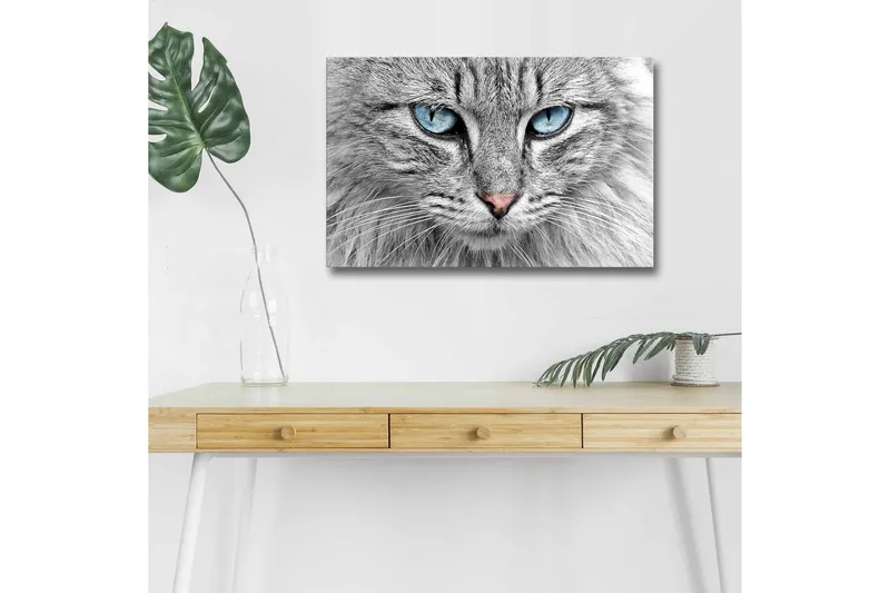 Canvas-taulu LED-valaistuksella - Lähikuva harmaasta kissasta sinisilmäisillä, Harmaa / Sininen / Vaaleanpunainen