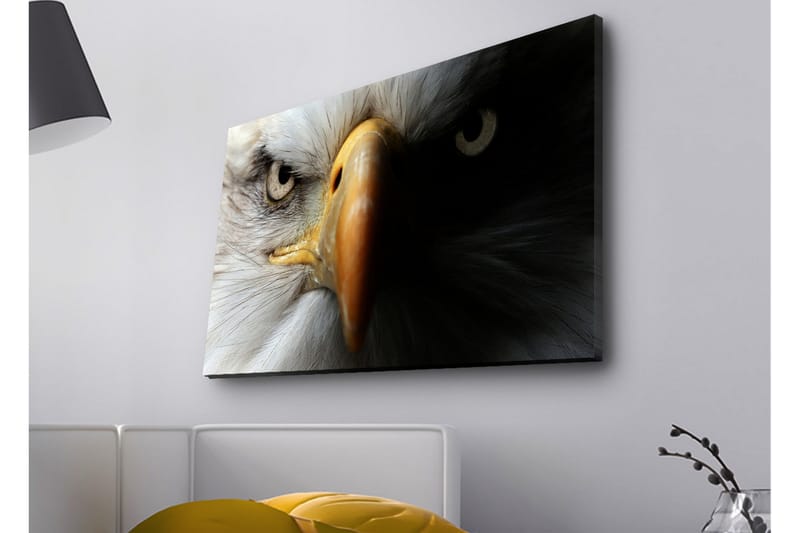 Canvas-taulu LED-valaistuksella - Lähikuva majesteettisesta kotkasta intensiivisine silmineen, Valkoinen / Musta / Oranssi