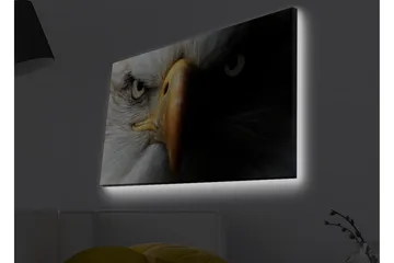 Canvas-taulu LED-valaistuksella - Lähikuva majesteettisesta kotkasta intensiivisine silmineen - Valkoinen / Musta / Oranssi - Sisustustuotteet - Taulu & taide - Canvas-taulu