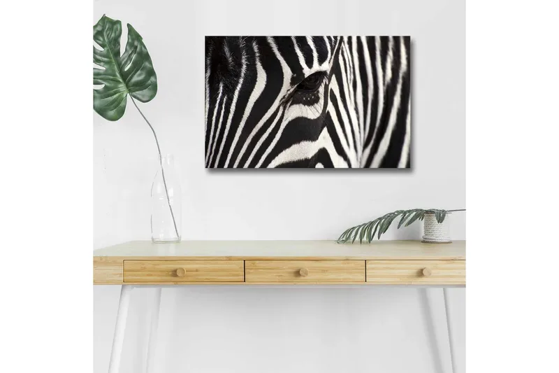 Canvas-taulu LED-valaistuksella - Lähikuva seepran kasvoista, joissa on selkeät mustavalkoiset raidat, Musta / Valkoinen