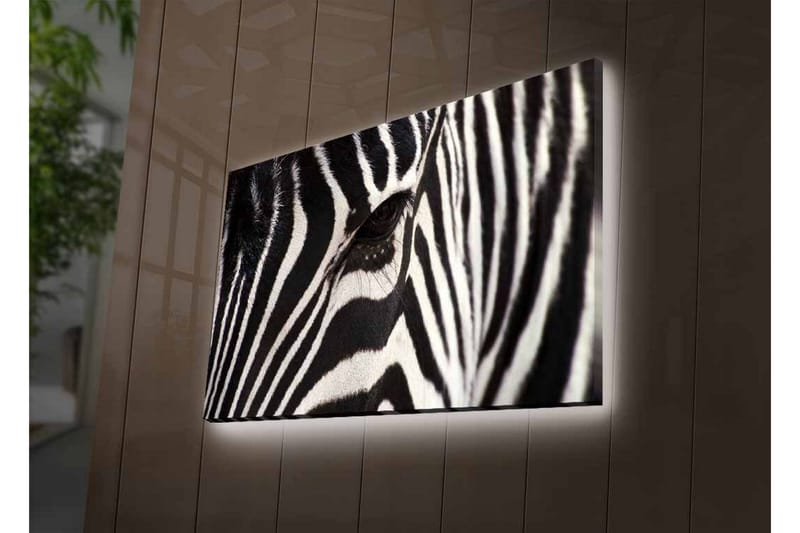 Canvas-taulu LED-valaistuksella - Lähikuva seepran kasvoista, joissa on selkeät mustavalkoiset raidat - Musta / Valkoinen - Sisustustuotteet - Taulu & taide - Canvas-taulu