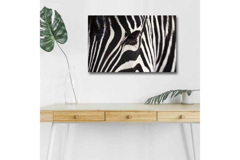 Canvas-taulu LED-valaistuksella - Lähikuva seepran kasvoista, joissa on selkeät mustavalkoiset raidat, Musta / Valkoinen