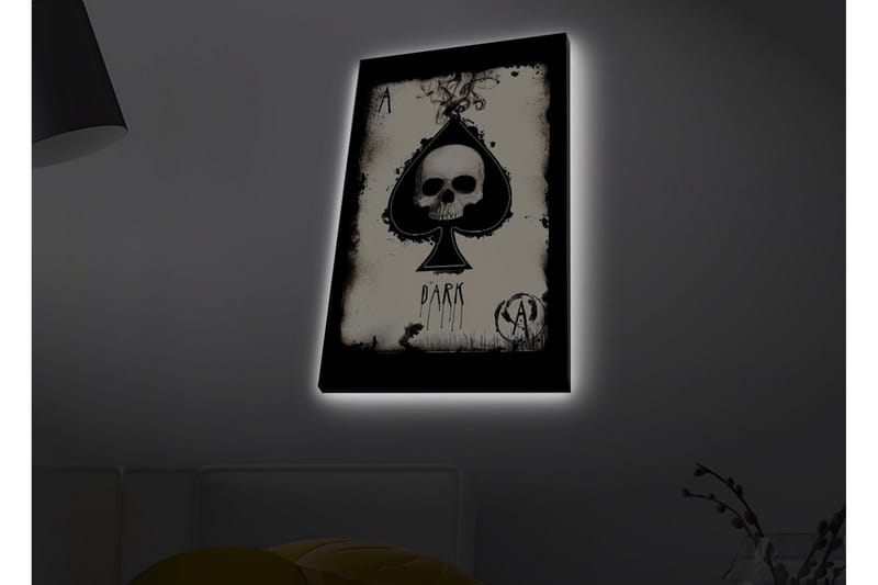 Canvas-taulu LED-valaistuksella - Lapiomainen kallo tummilla elementeillä - Musta / Valkoinen / Harmaa - Sisustustuotteet - Taulu & taide - Canvas-taulu