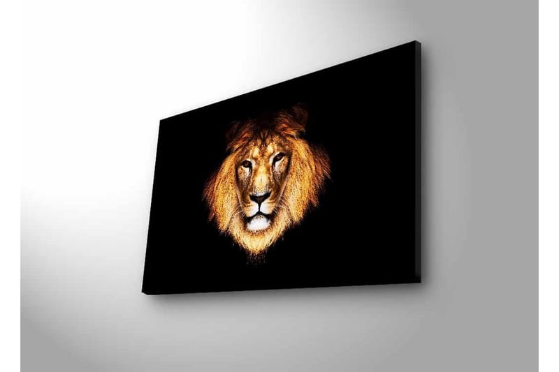 Canvas-taulu LED-valaistuksella - Leijonanpää intensiivisellä katseella - Kulta / Musta / Ruskea - Sisustustuotteet - Taulu & taide - Canvas-taulu
