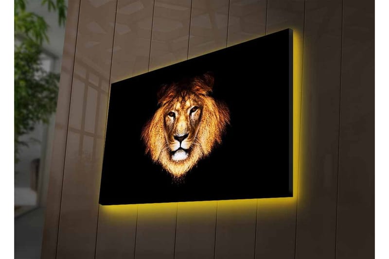 Canvas-taulu LED-valaistuksella - Leijonanpää intensiivisellä katseella - Kulta / Musta / Ruskea - Sisustustuotteet - Taulu & taide - Canvas-taulu