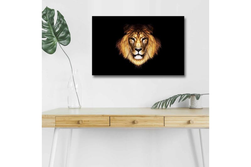 Canvas-taulu LED-valaistuksella - Leijonanpää intensiivisellä katseella, Kulta / Musta / Ruskea