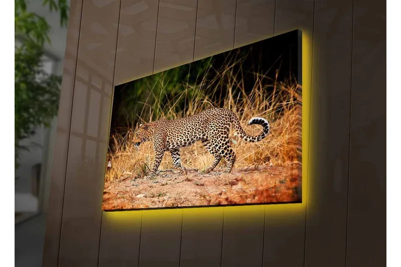 Canvas-taulu LED-valaistuksella - Leopardi hiipii kuivan ruohikon läpi - Kullanruskea / Musta / Valkoinen - Sisustustuotteet - Taulu & taide - Canvas-taulu