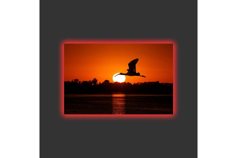 Canvas-taulu LED-valaistuksella - Linnun siluetti lentää kohti auringonlaskua - Oranssi / Musta - Sisustustuotteet - Taulu & taide - Canvas-taulu