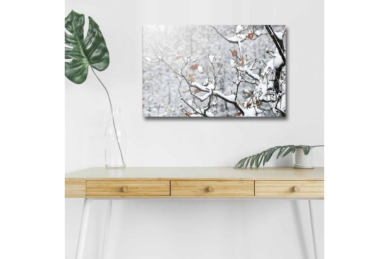 Canvas-taulu LED-valaistuksella - Lumipeitteiset oksat ruskeilla lehdillä, Valkoinen / Ruskea / Harmaa