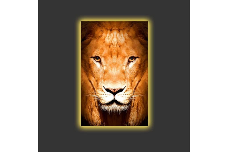 Canvas-taulu LED-valaistuksella - Majesteettinen leijonanpää lähikuvassa - Kulta / Ruskea / Musta - Sisustustuotteet - Taulu & taide - Canvas-taulu