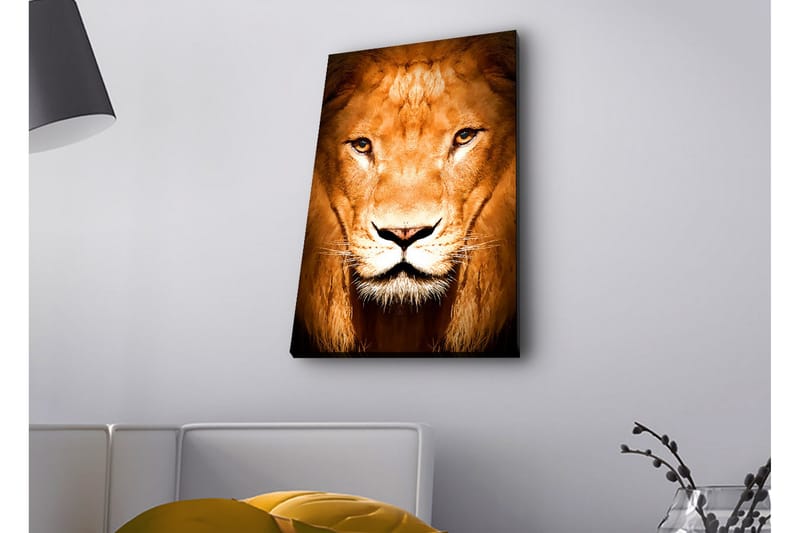 Canvas-taulu LED-valaistuksella - Majesteettinen leijonanpää lähikuvassa - Kulta / Ruskea / Musta - Sisustustuotteet - Taulu & taide - Canvas-taulu